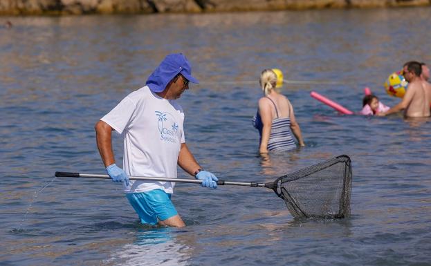 Un operario limpia con la red la orilla de la playa de Salobreña, un sistema innovador en la Costa. 