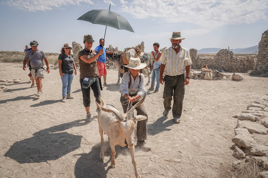 Luis Tosar, Luis Callejo y Jaime López dan forma a un «western ibérico» dirigido por Benito Zambrano que reflexiona sobre la amistad, la violencia y la dignidad