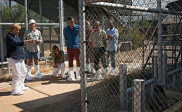 A. Merkel, su marido, la esposa de Pedro Sánchez y Pedro Sánchez en las instalaciones de El Acebuche