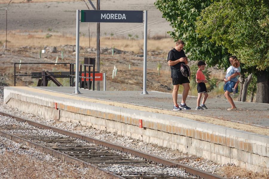 En la línea de tren que volverán a recorrer los trenes para conectar con Madrid hay estaciones abandonadas, campos sembrados y recuerdos del patrimonio ferroviario granadino. Eso si, la línea está perfectamente operativa.