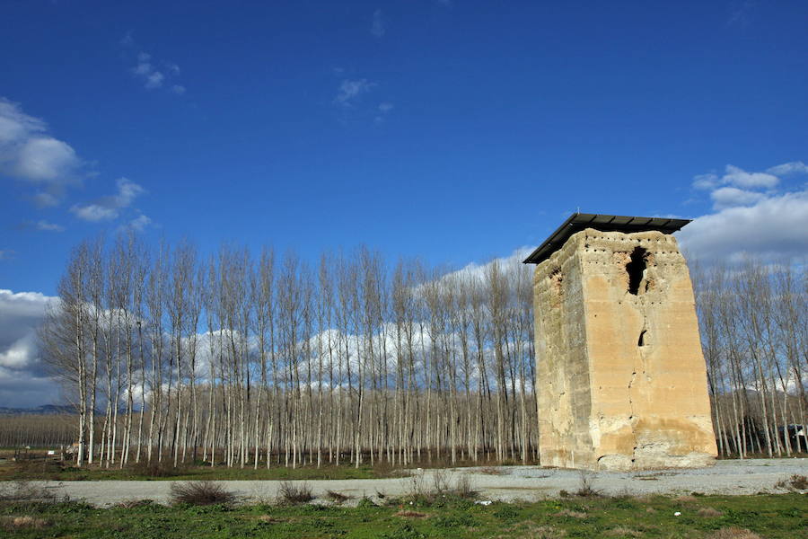 La torre de Romilla, en Chauchina, a unos 20 kilómetros de la capital. Aunque fácilmente accesible, resulta un descubrimiento encontrarse con ella allí donde no era habitual hallar atalayas, en mitad de la planicie, rodeada de choperas y tabaco. La torre –vinculada en su día a una alquería o núcleo rural musulmán– fue levantada entre los siglos XIII y XIV y desde hace siete años es del Ayuntamiento, que prevé su restauración.