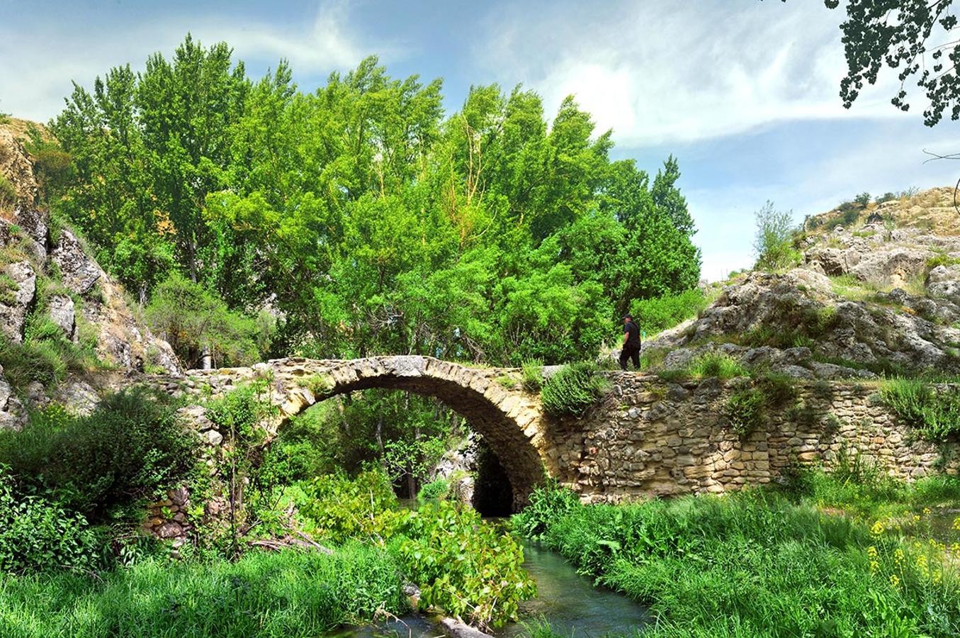 En el río Alhama, el puente romano se enmarca en un frondoso bosque de ribera