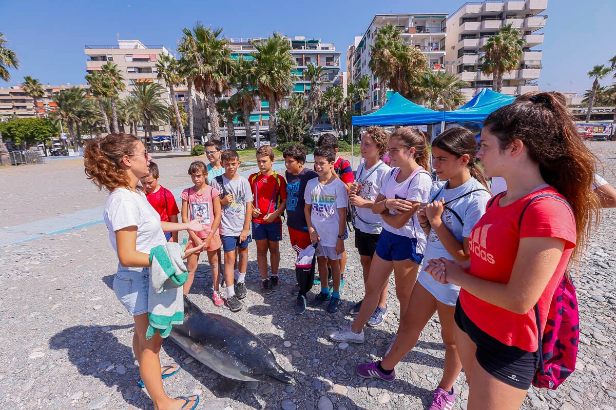 Los niños de Almuñécar descubren con el Aula del Mar de Málaga los fondos marinos y aprenden a socorrer a los delfines