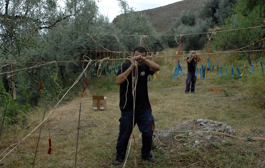 En otros tiempos este tranquilo y recóndito pueblecito de alta montaña de la Alpujarra llegó a tener más de medio millar de almas