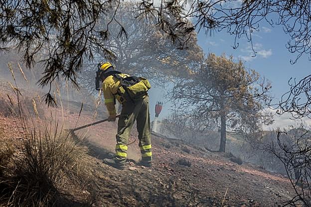 Un trabajador del Infoca trabaja en el control de un fuego en una imagen de archivo.