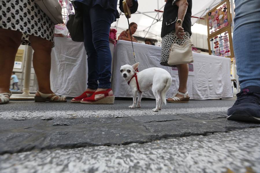 Miles de personas 'toman' la calle, cortada al tráfico, y disfrutran de actividades como demostraciones de perros de la Unidad Canina de la Policía Local