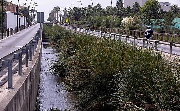 La rambla de Las Brujas tiene un amplio tramo urbano que está sucio pues no se limpia desde el verano del año pasado. 