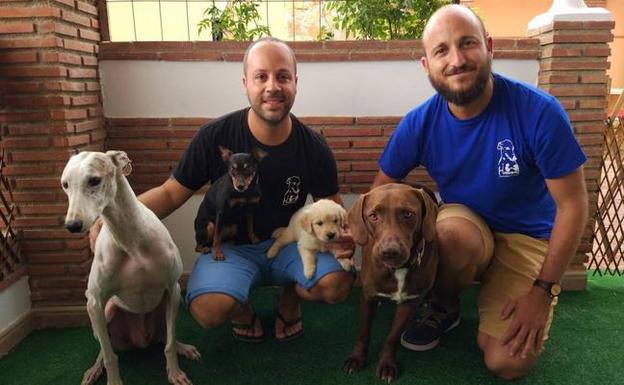 Jordi García y José Antonio Guerrero con algunos de los perros que participan en la terapia canina. 