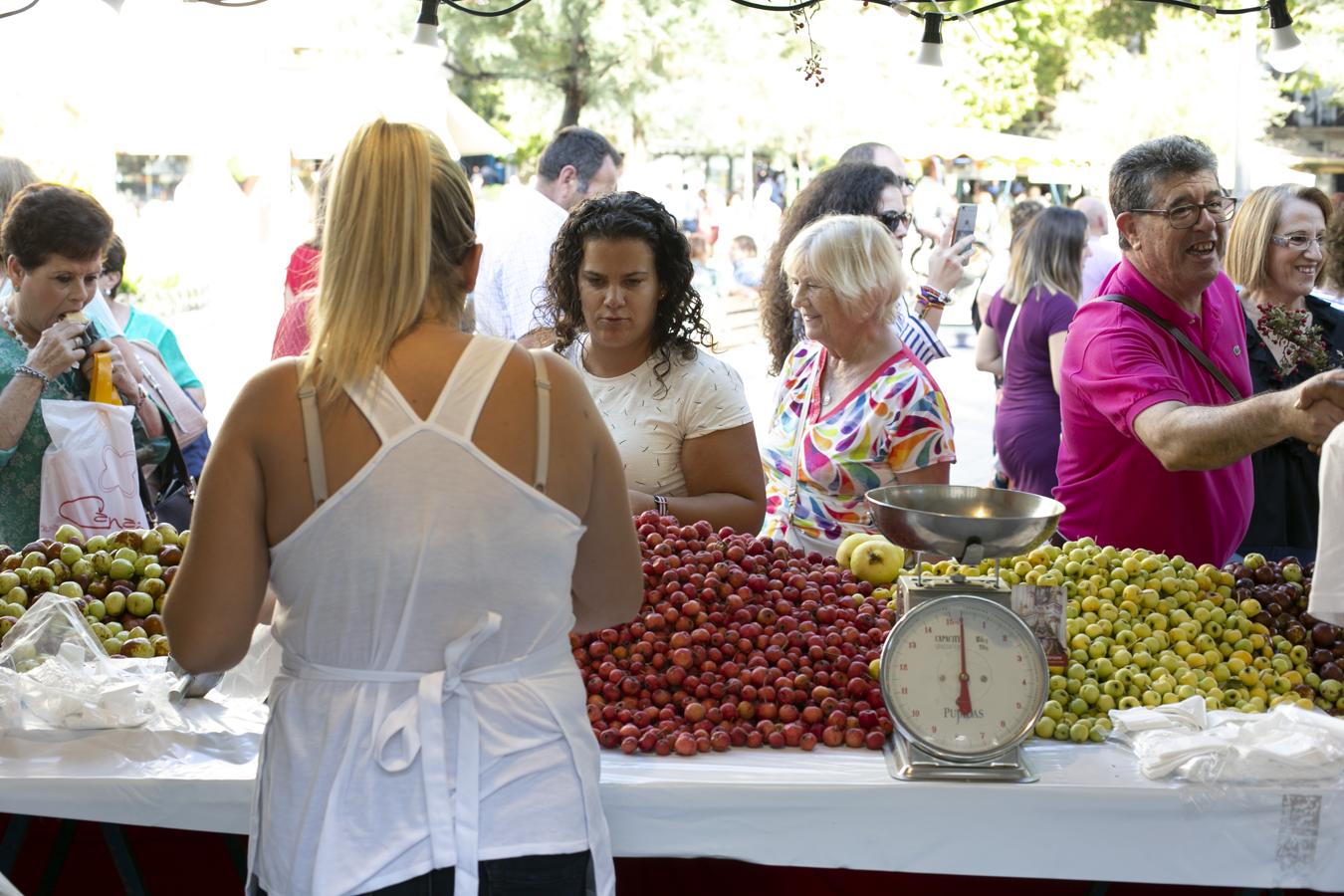 Cientos de granadinos y turistas se han aproximado este fin de semana a los distintos puestos de frutas y dulces otoñales que se han dispuesto en la capital