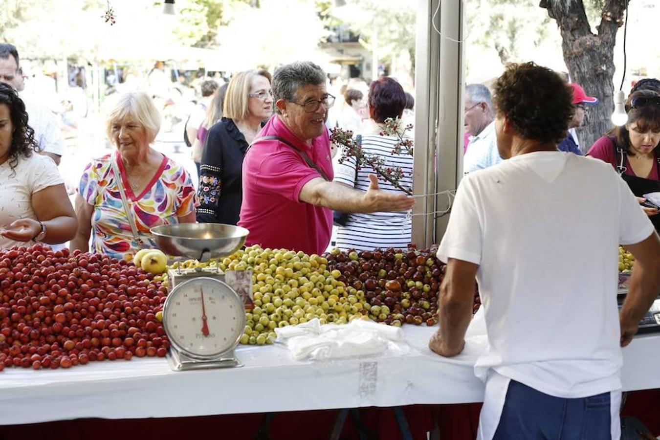 Cientos de granadinos y turistas se han aproximado este fin de semana a los distintos puestos de frutas y dulces otoñales que se han dispuesto en la capital