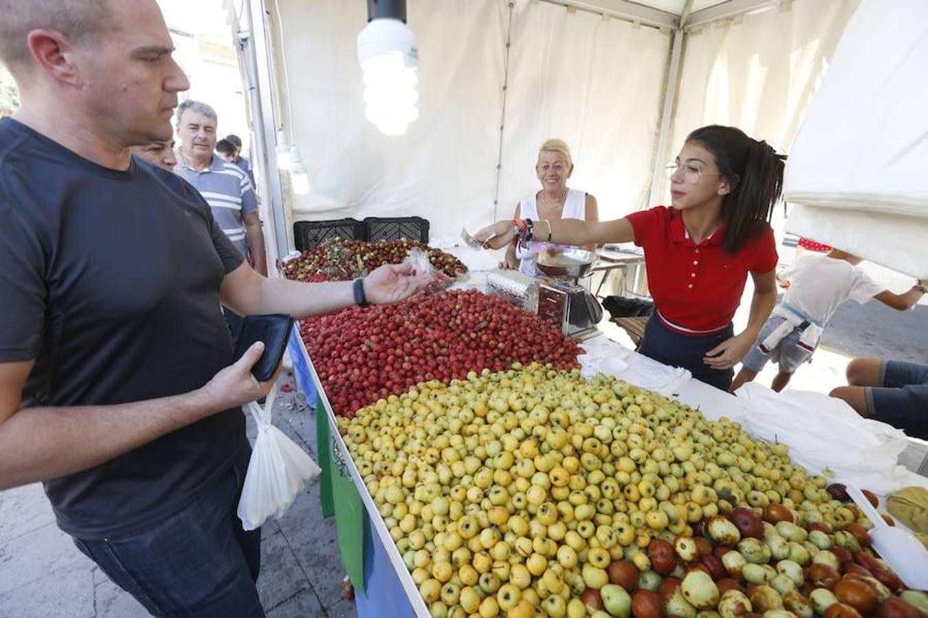 Cientos de granadinos y turistas se han aproximado este fin de semana a los distintos puestos de frutas y dulces otoñales que se han dispuesto en la capital