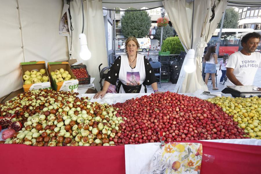 Cientos de granadinos y turistas se han aproximado este fin de semana a los distintos puestos de frutas y dulces otoñales que se han dispuesto en la capital