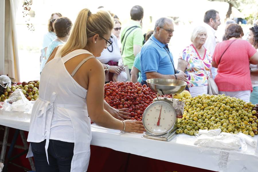 Cientos de granadinos y turistas se han aproximado este fin de semana a los distintos puestos de frutas y dulces otoñales que se han dispuesto en la capital