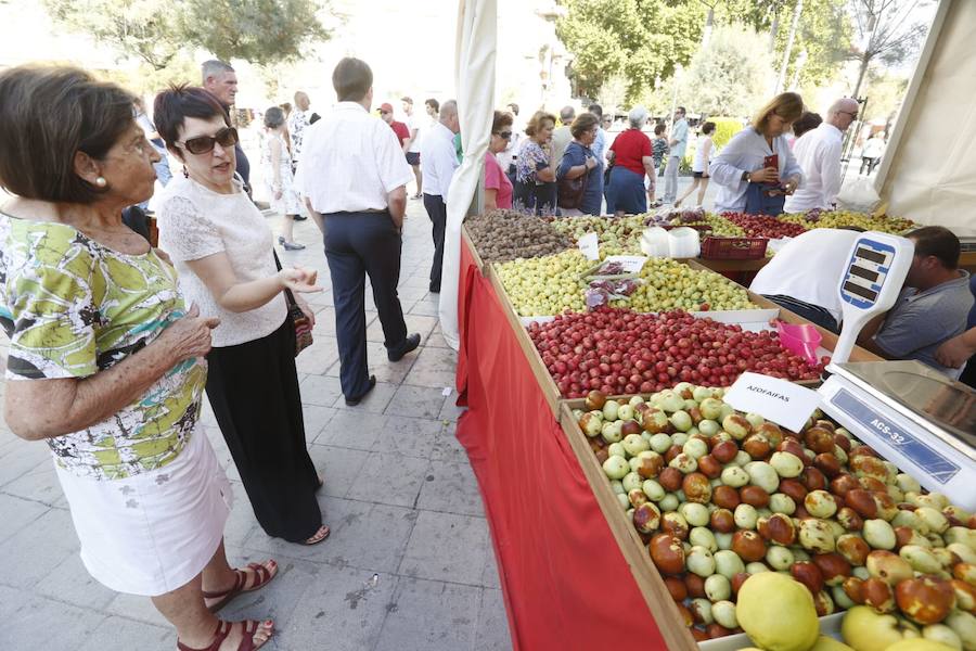 Cientos de granadinos y turistas se han aproximado este fin de semana a los distintos puestos de frutas y dulces otoñales que se han dispuesto en la capital