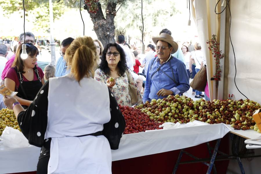 Cientos de granadinos y turistas se han aproximado este fin de semana a los distintos puestos de frutas y dulces otoñales que se han dispuesto en la capital