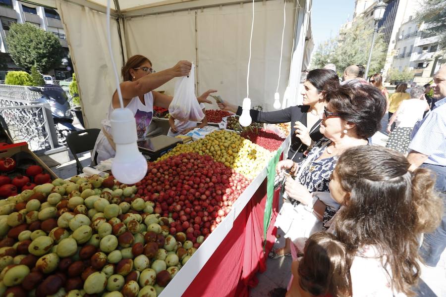 Cientos de granadinos y turistas se han aproximado este fin de semana a los distintos puestos de frutas y dulces otoñales que se han dispuesto en la capital