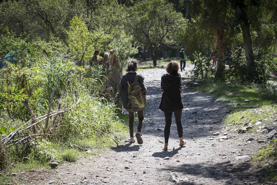 La Policía Local de Órgiva retira con grúa más de veinte vehículos con un preaviso de 24 horas