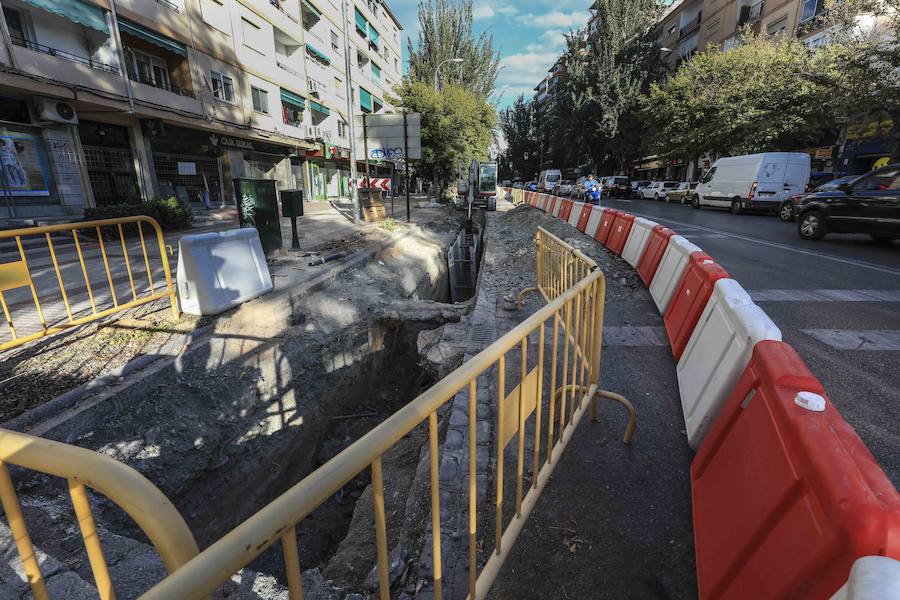 La reforma de la antigua carretera de Málaga ha ocasionado la alteración de los vecinos al percatarse de que los trabajadores de Emasagra han talado varios árboles 
