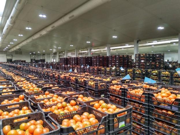 Instalaciones de Vegacañada.