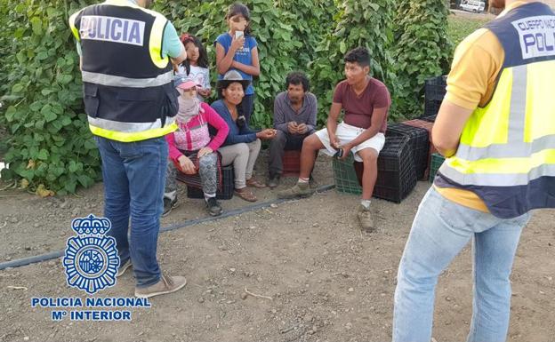 Localizan un menor de 14 años trabajando en una explotación agrícola de Granada