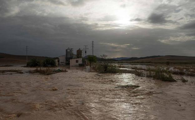 Inundación en Campillos.