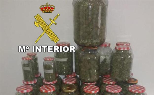 Detenidos cuatro jóvenes de Los Villares por cultivar y traficar con marihuana