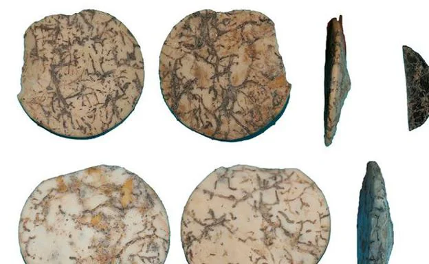 Adornos cónicos del Neolítico medio encontrados en Granada.