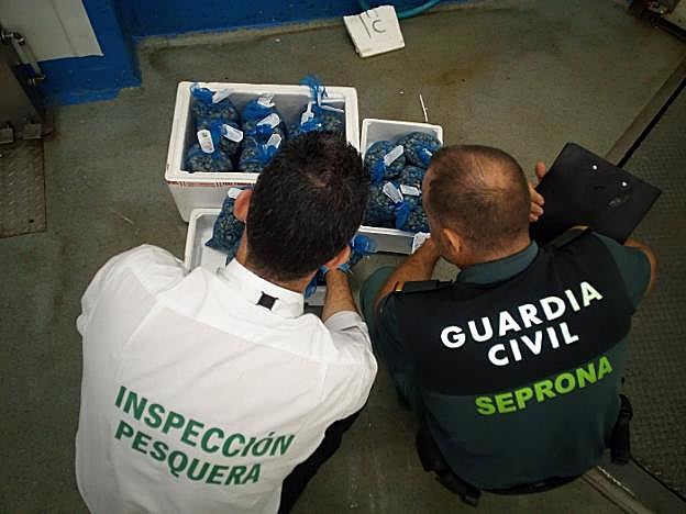 Un funcionario de la Junta y un agente del Seprona durante la inspección. 