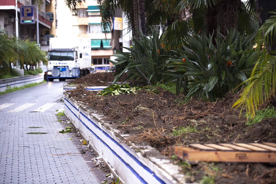 En apenas dos meses, «para Navidad» según la alcaldesa Trinidad Herrera, el paseo marítimo del Altillo, un lugar emblemático para Almuñécar, estrenará nueva imagen