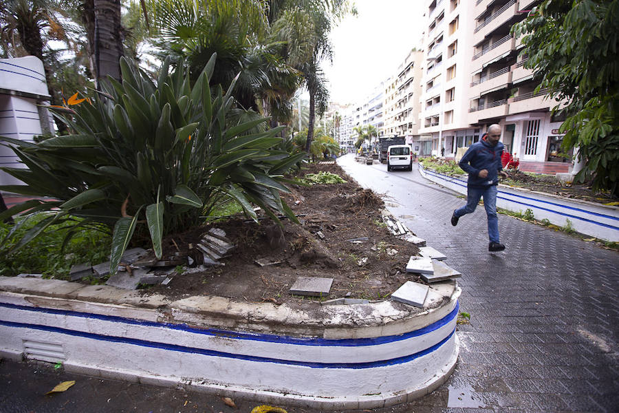 En apenas dos meses, «para Navidad» según la alcaldesa Trinidad Herrera, el paseo marítimo del Altillo, un lugar emblemático para Almuñécar, estrenará nueva imagen