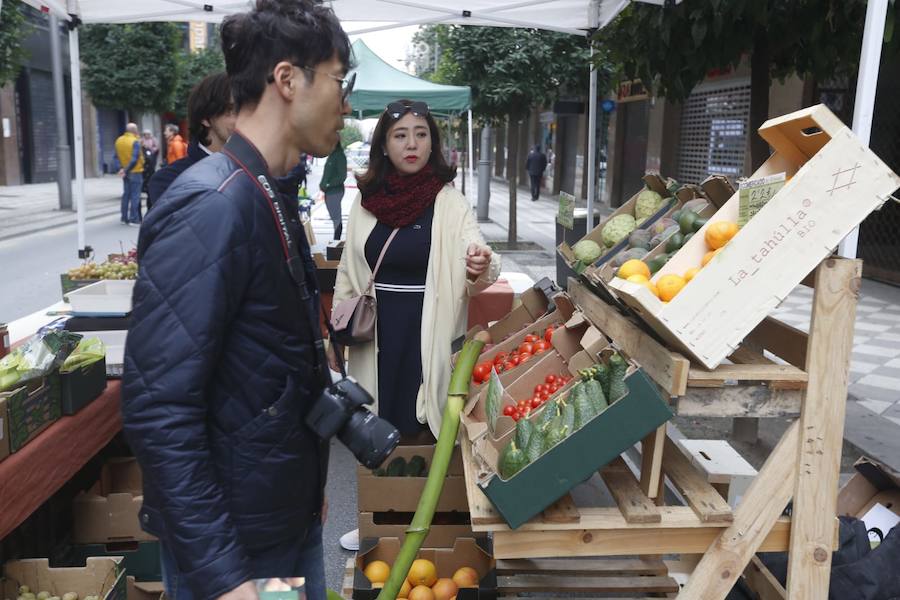 La calle Recogidas se llena de patines y patinetes, bicicletas de todo tipo, coches de bebés y sillas de ruedas en una jornada para fomentar el transporte público y la movilidad sostenible