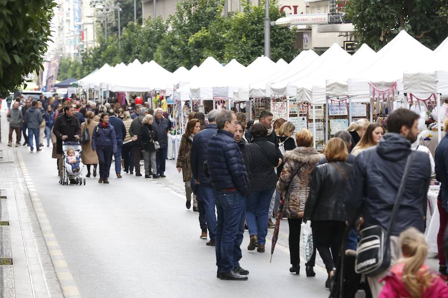 La calle Recogidas se llena de patines y patinetes, bicicletas de todo tipo, coches de bebés y sillas de ruedas en una jornada para fomentar el transporte público y la movilidad sostenible