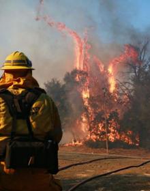 Imagen secundaria 2 - Los incendios más destructivos de la historia de California dejan ya 42 muertos