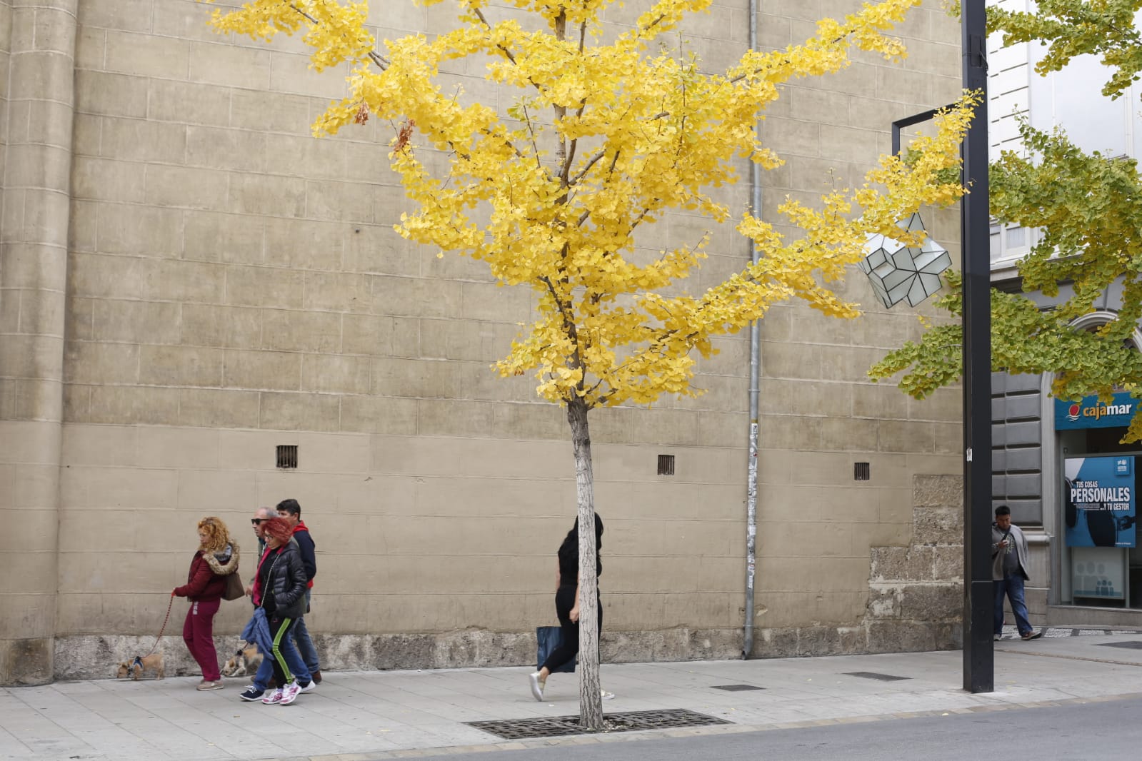 La capital luce por sus calles la estampa clásica del otoño que amarillea sus árboles