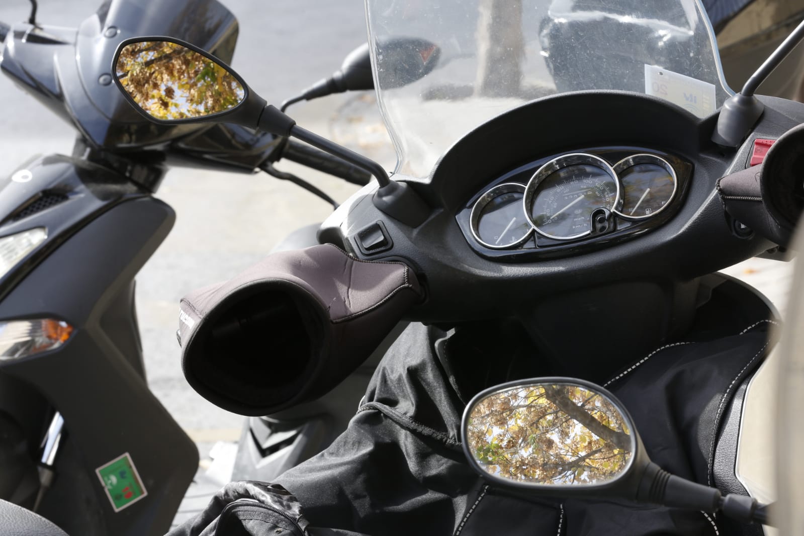 La capital luce por sus calles la estampa clásica del otoño que amarillea sus árboles