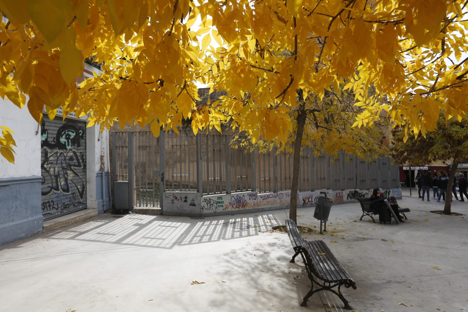 La capital luce por sus calles la estampa clásica del otoño que amarillea sus árboles