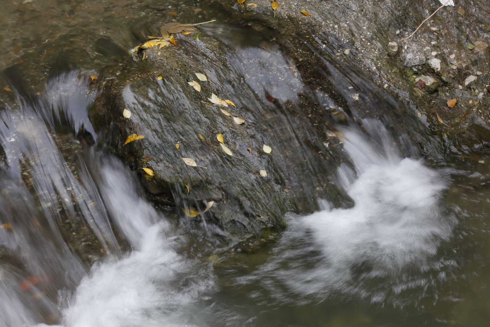 La capital luce por sus calles la estampa clásica del otoño que amarillea sus árboles