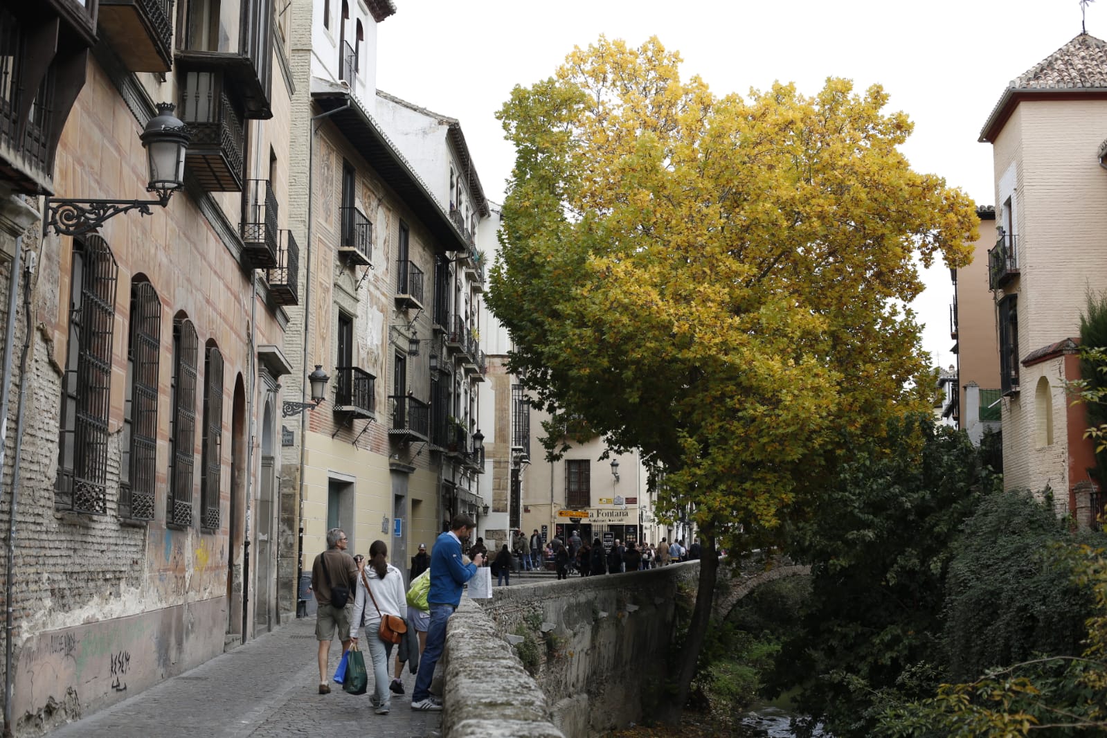 La capital luce por sus calles la estampa clásica del otoño que amarillea sus árboles