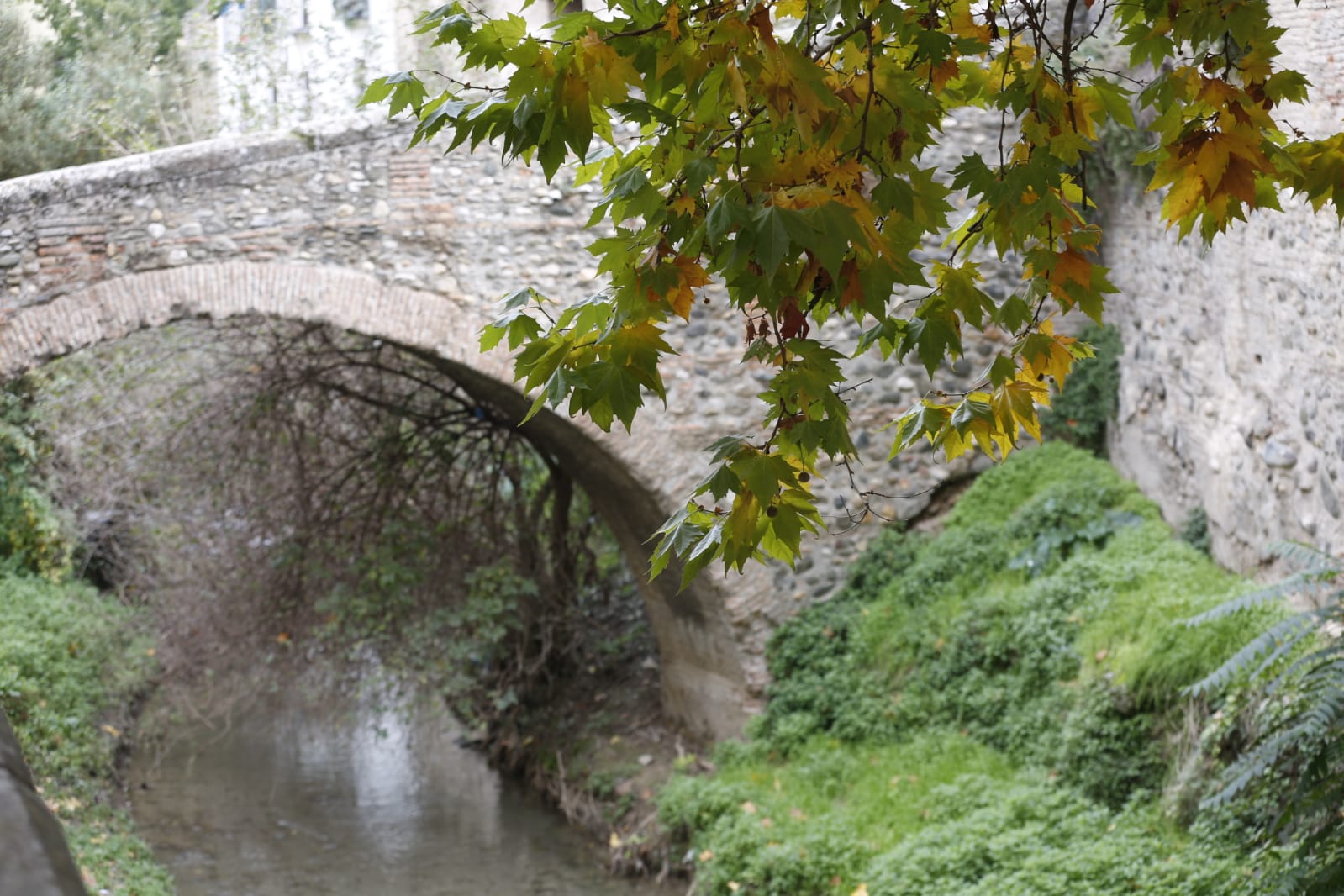 La capital luce por sus calles la estampa clásica del otoño que amarillea sus árboles