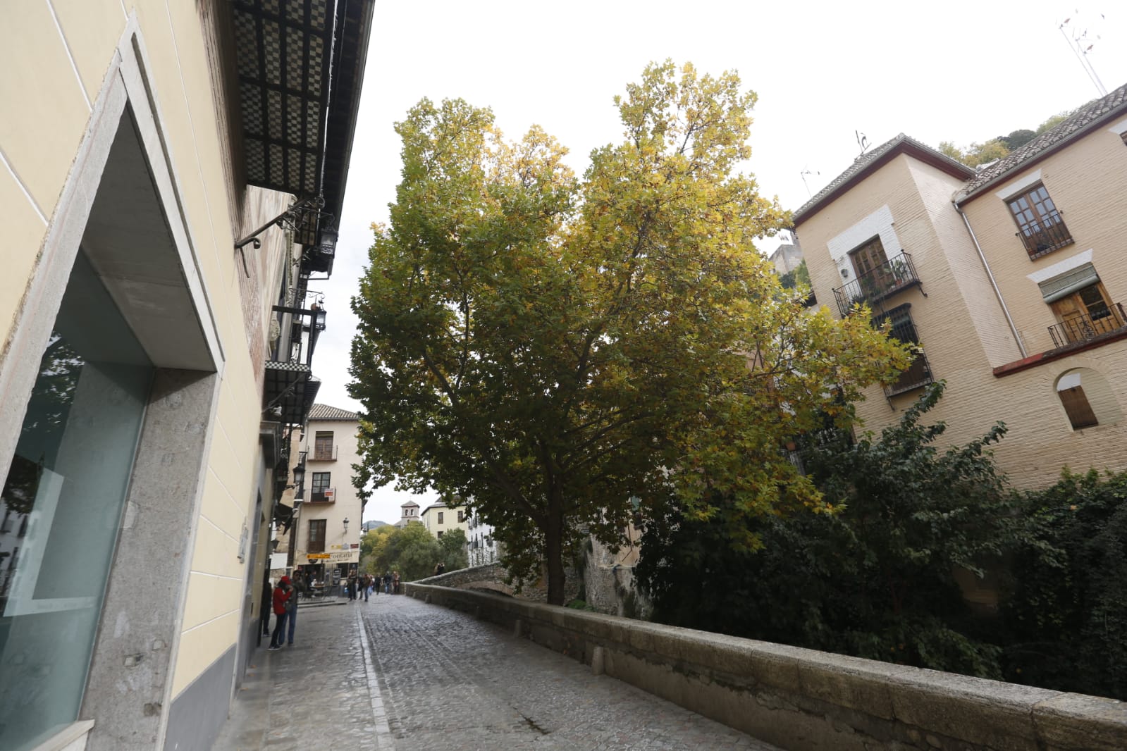 La capital luce por sus calles la estampa clásica del otoño que amarillea sus árboles