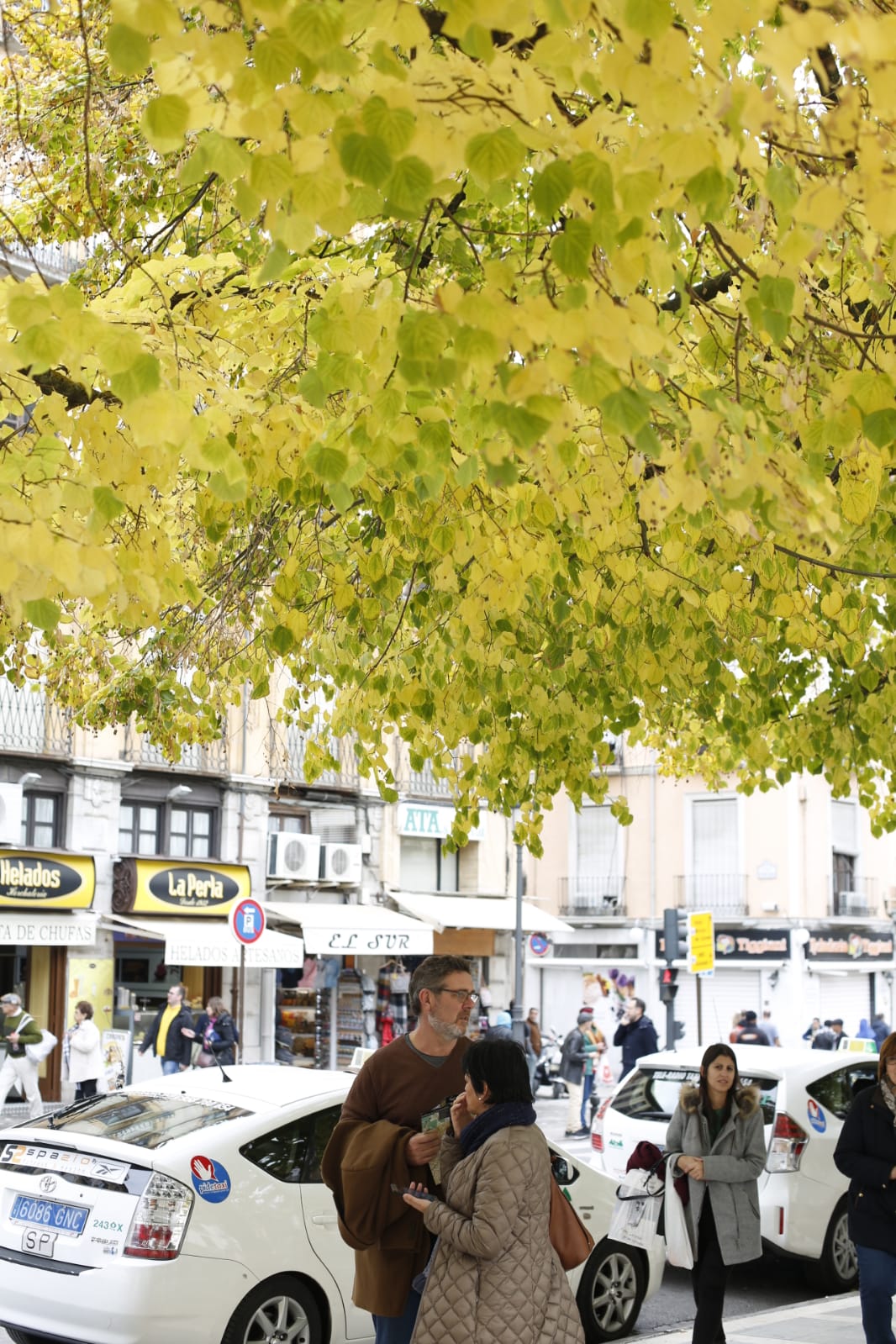 La capital luce por sus calles la estampa clásica del otoño que amarillea sus árboles