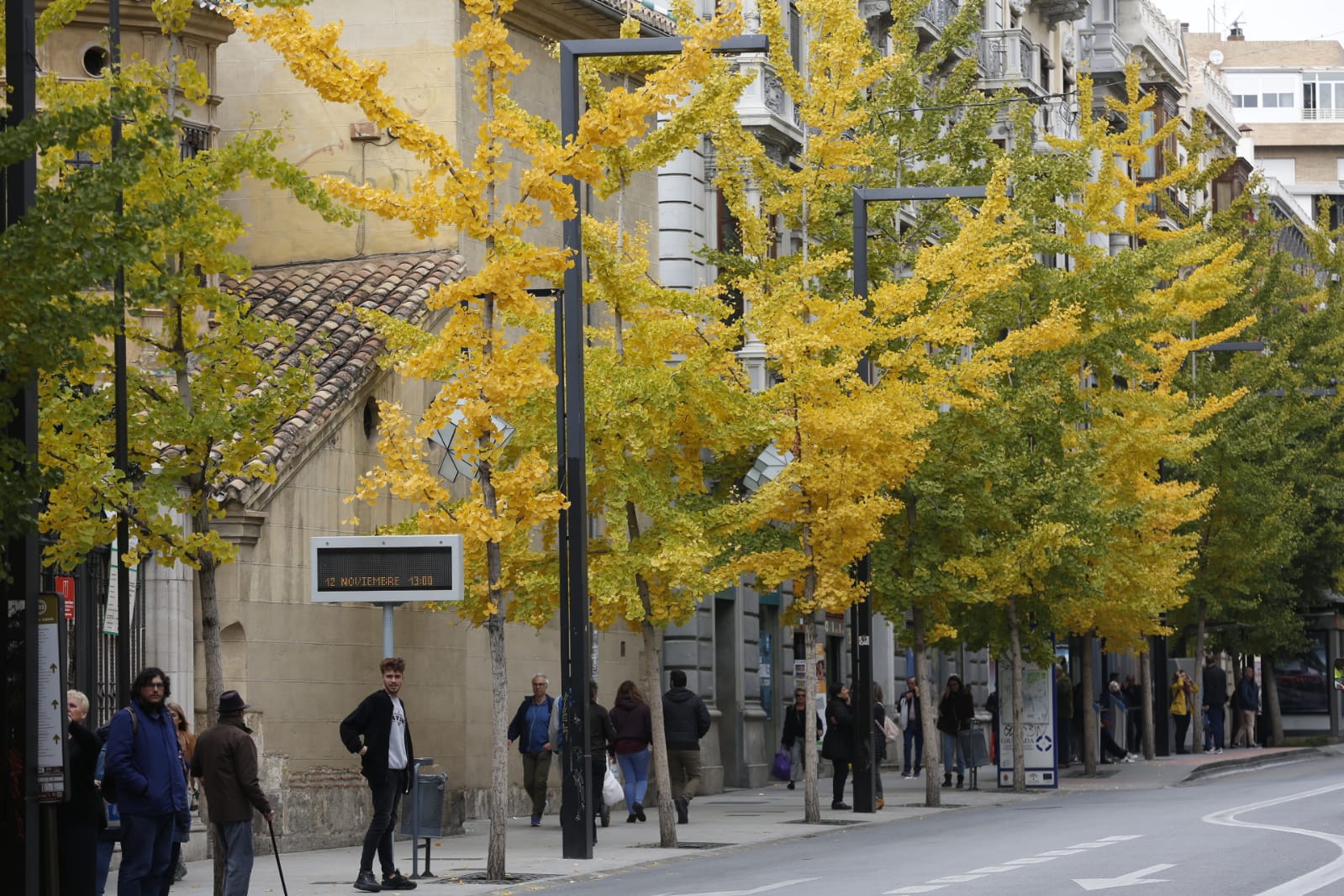 La capital luce por sus calles la estampa clásica del otoño que amarillea sus árboles