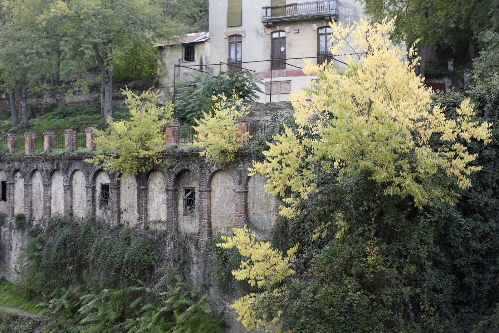 La capital luce por sus calles la estampa clásica del otoño que amarillea sus árboles