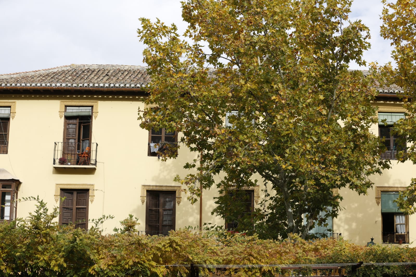 La capital luce por sus calles la estampa clásica del otoño que amarillea sus árboles