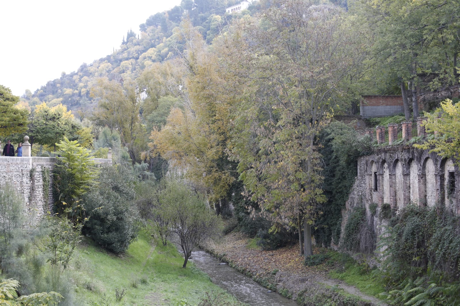 La capital luce por sus calles la estampa clásica del otoño que amarillea sus árboles