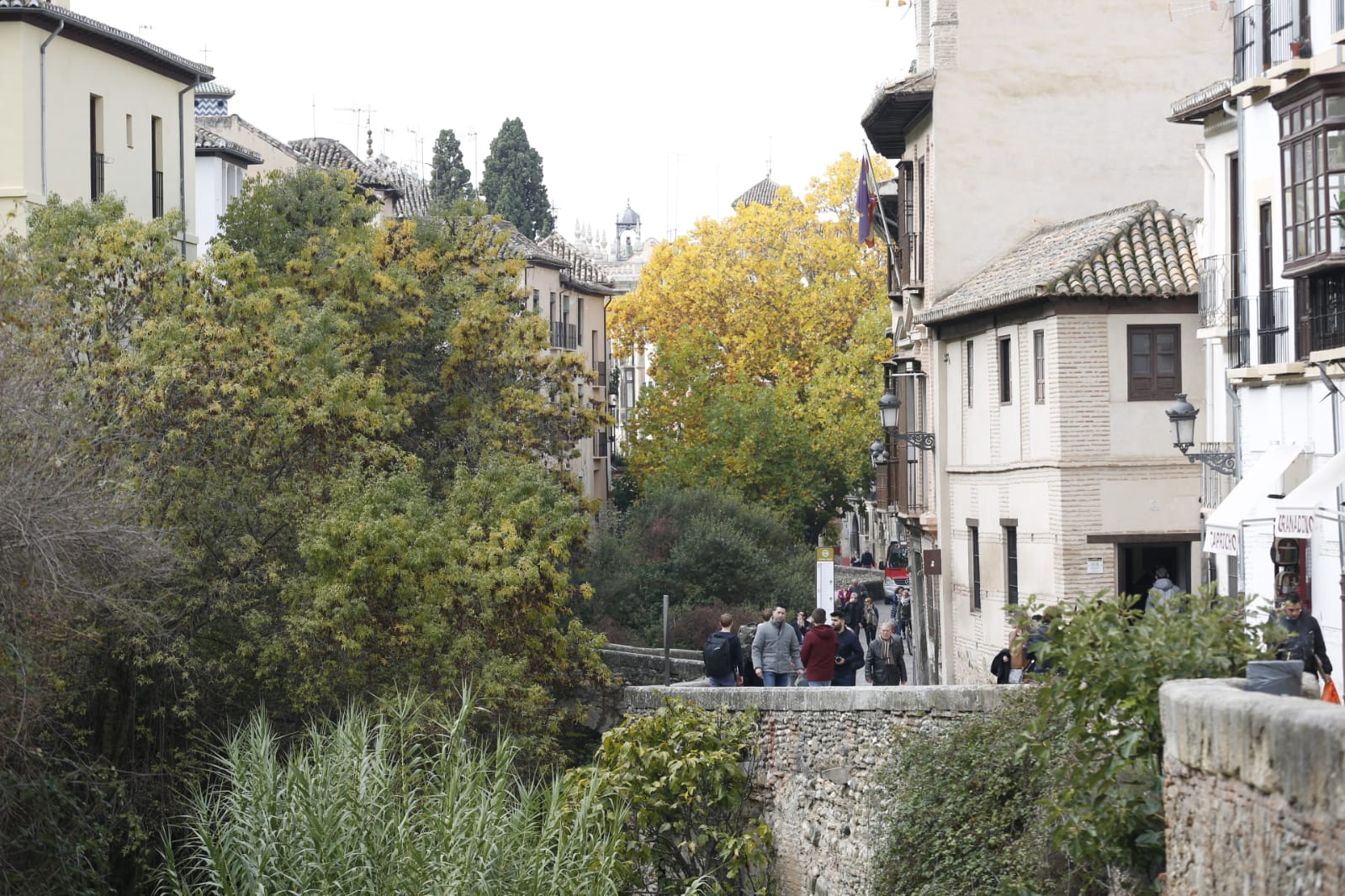 La capital luce por sus calles la estampa clásica del otoño que amarillea sus árboles
