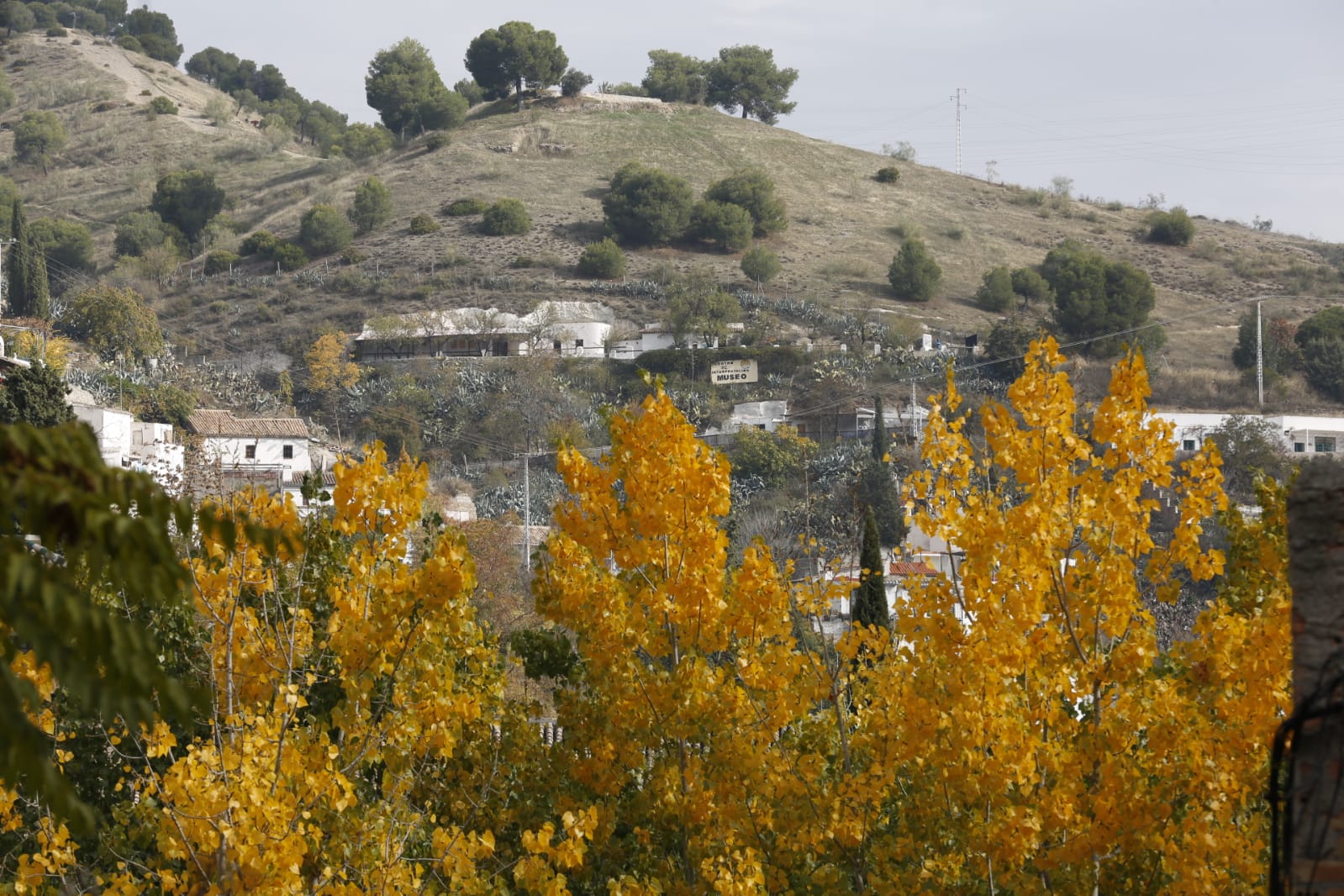La capital luce por sus calles la estampa clásica del otoño que amarillea sus árboles