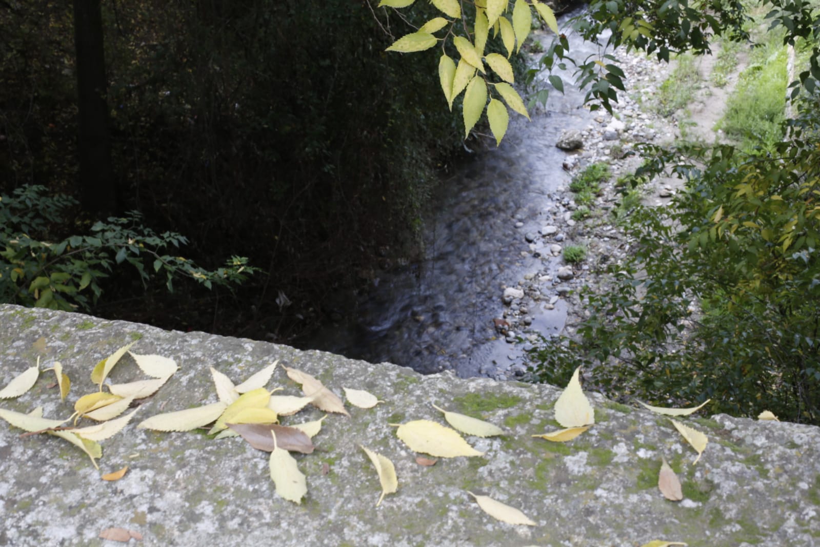 La capital luce por sus calles la estampa clásica del otoño que amarillea sus árboles