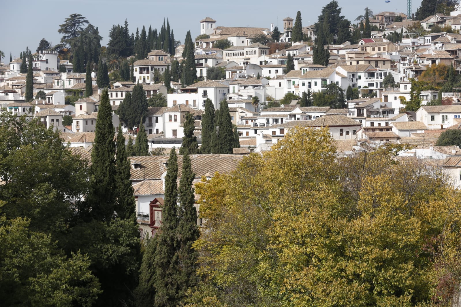 La capital luce por sus calles la estampa clásica del otoño que amarillea sus árboles