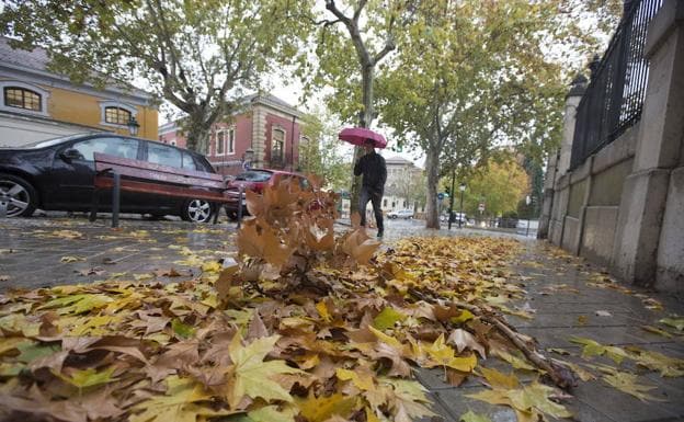 La Policía Local alerta del peligro de las hojas mojadas: «Granada está llena, mucho cuidado»